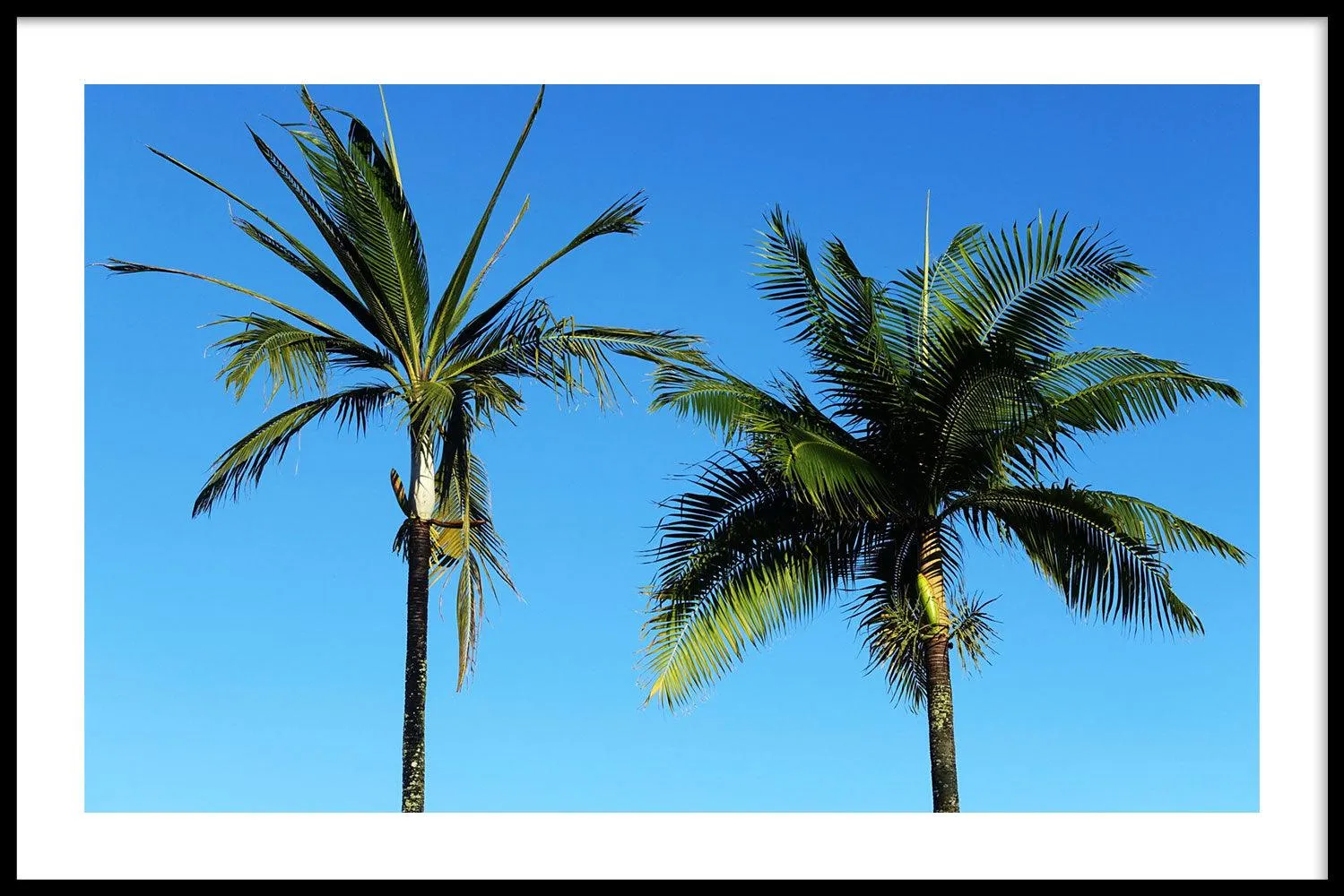 Bright Blue Sky II