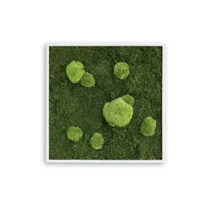 Forest Square Moss Wall Art (55cm)