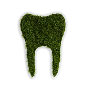 Green Moss Tooth Decor Forest Moss Wall Art