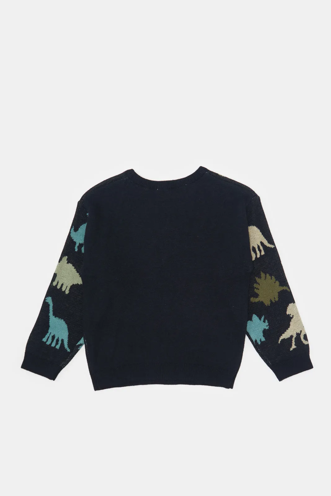 Infant Boys Black Dino Printed Pullover